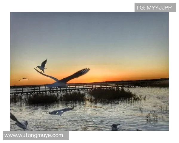 曼等乡中学足球明星的成长之路与梦想追逐的精彩故事