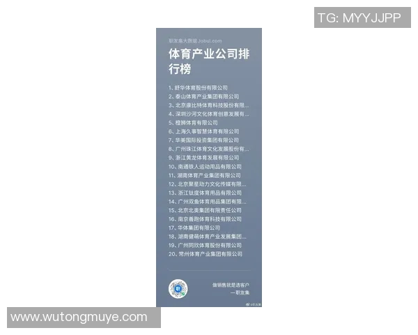 2023年最受欢迎的体育品牌加盟排行榜及投资分析指南